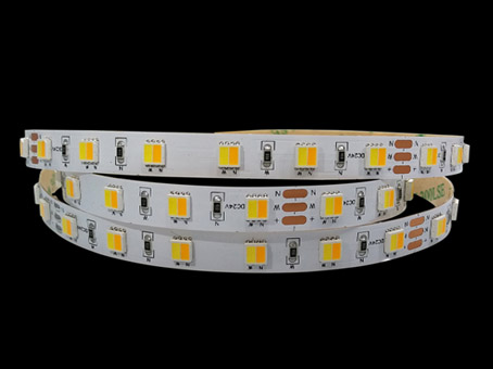CCT adjustable strip light